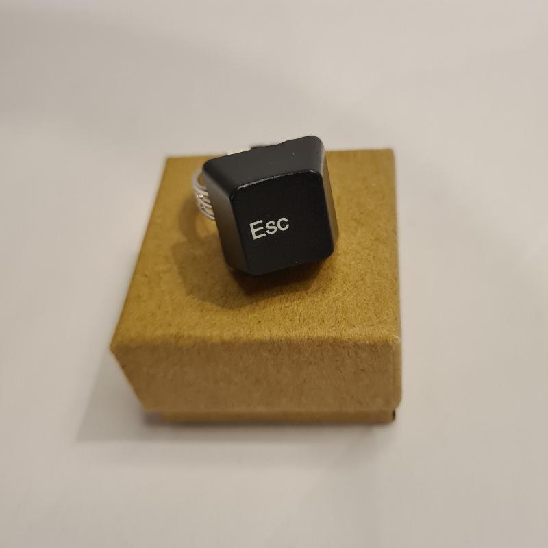 Ring Upcycled ESC