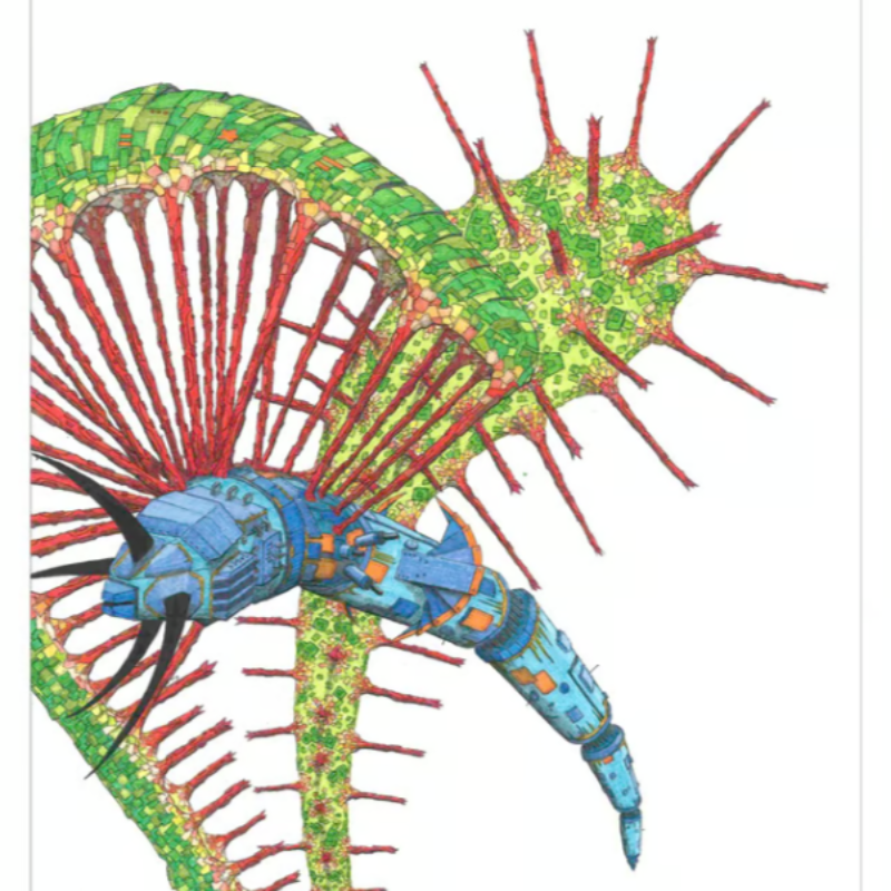 Print 'Thijs Jager' Drosera Anglica